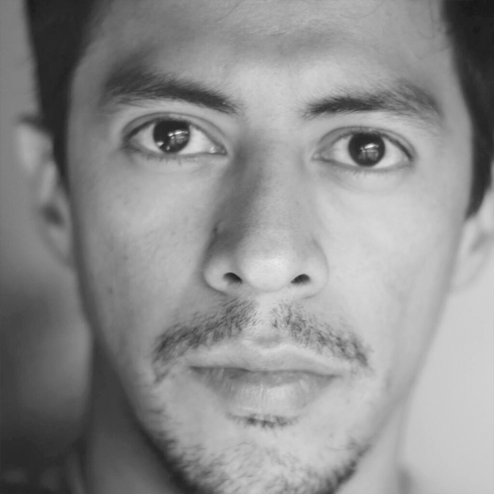 Hamilton Mestizo